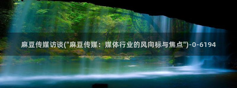 欧美专区麻豆：麻豆传媒访谈(\