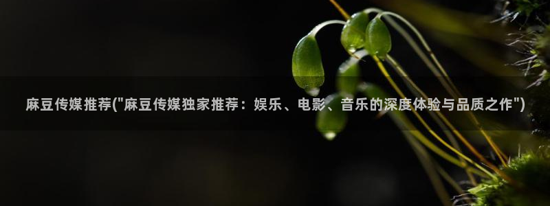 麻豆.com