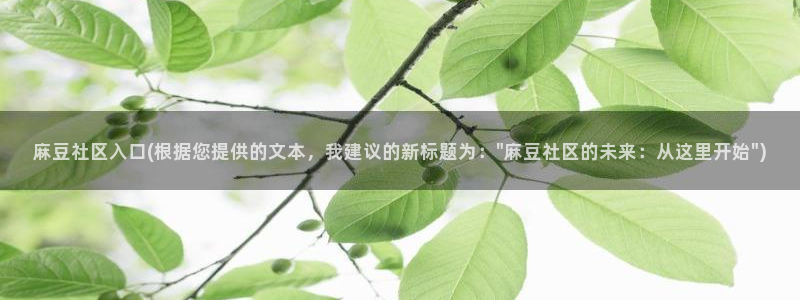 麻豆国产专区：麻豆社区入口(根据您提供的文本，我建议的新标题