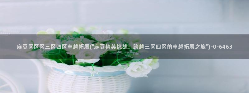 伊人久麻豆社区：麻豆区区区三区四区卓越拓展(\