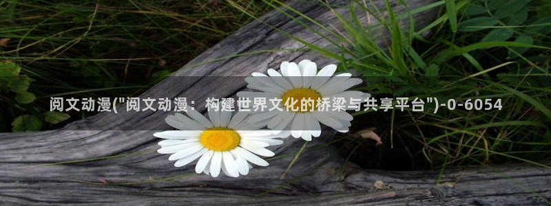 探索者系列动漫