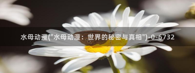 星星动漫